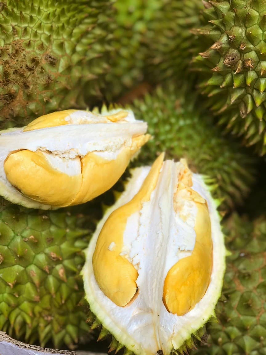 Sầu riêng Ri6