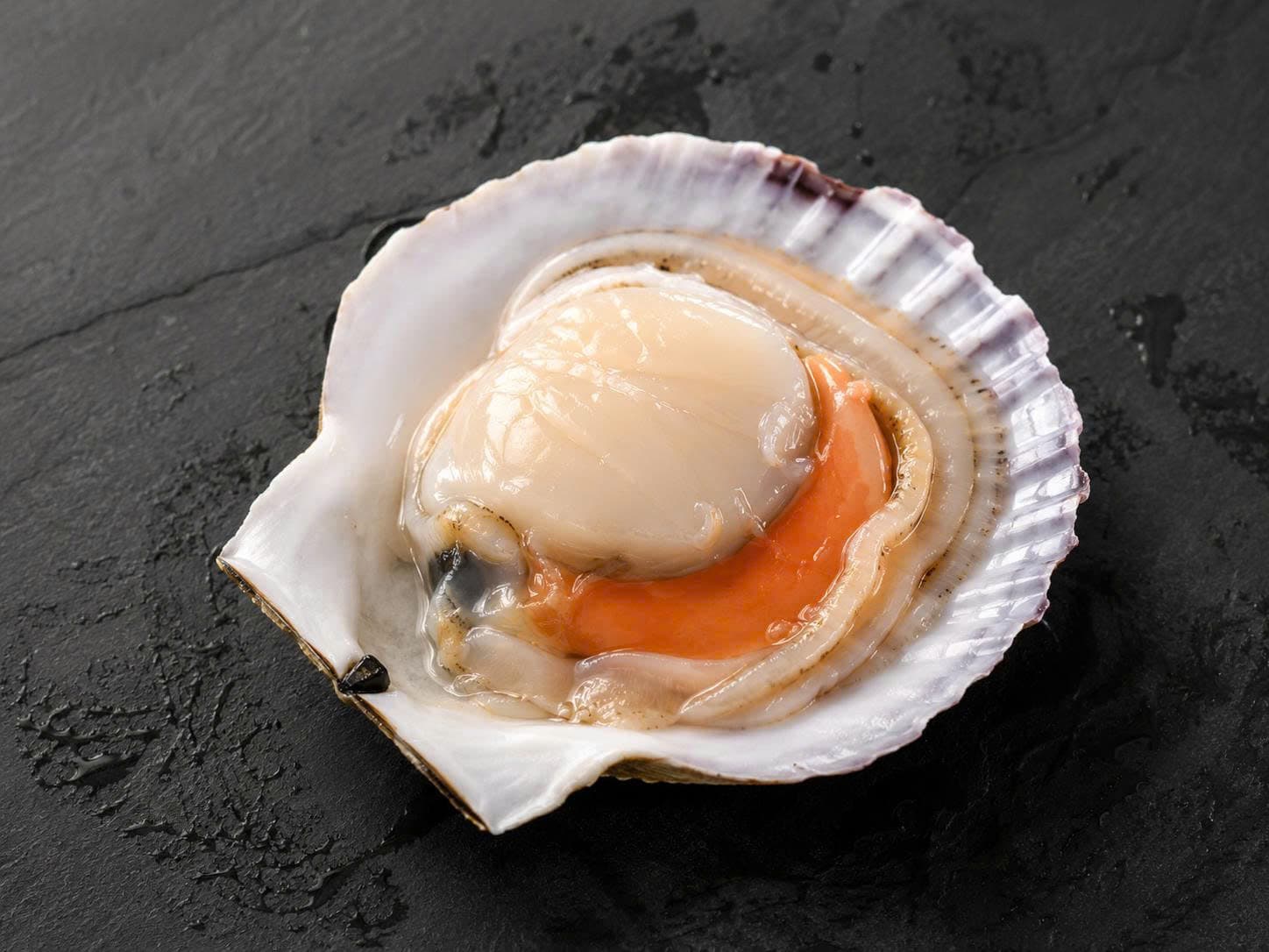 Sò điệp nửa mảnh